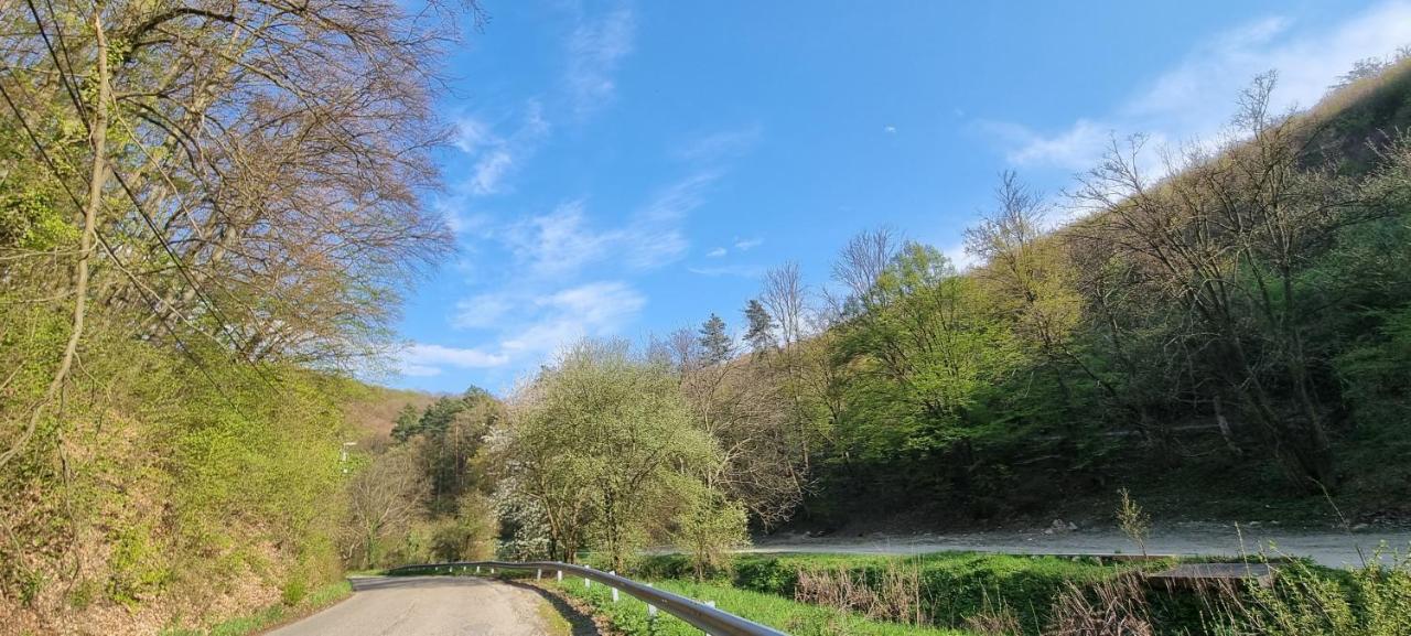 Hos-Cegledi Vendeghaz Miskolc -Oenallo Otthon, Mely Csak Az Oenoeke エクステリア 写真