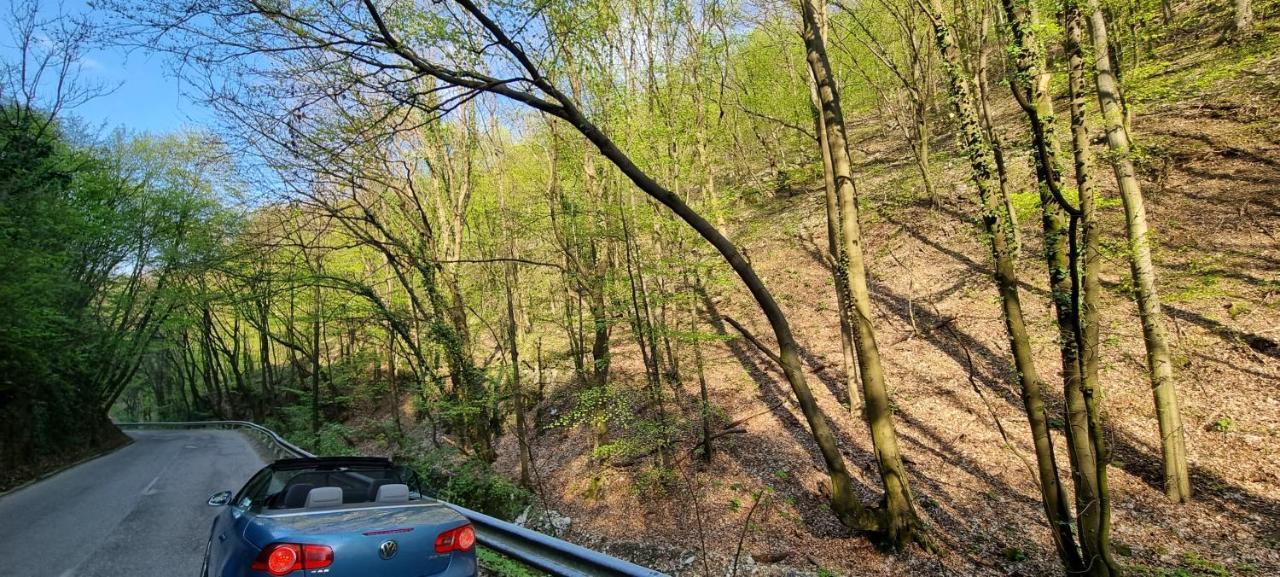 Hos-Cegledi Vendeghaz Miskolc -Oenallo Otthon, Mely Csak Az Oenoeke エクステリア 写真