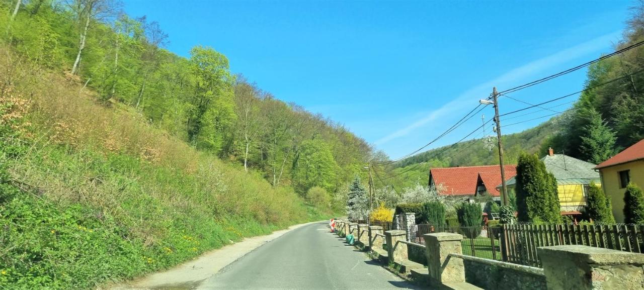 Hos-Cegledi Vendeghaz Miskolc -Oenallo Otthon, Mely Csak Az Oenoeke エクステリア 写真